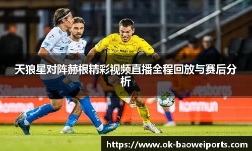 天狼星对阵赫根精彩视频直播全程回放与赛后分析